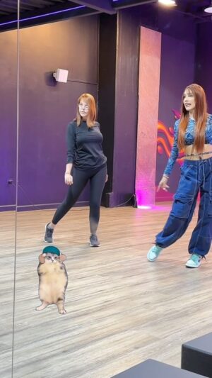 Hilda Abrahamz Instagram - La preparación para un unipersonal es un viaje que trasciende el simple dominio de la técnica 🎭. 

Mis clases de baile no son solo pasos, son la conexión con cada movimiento, con cada emoción que deseo transmitir 💃. 

Como actriz, sé que cada arte es un pilar fundamental: la danza, la música, la voz, la expresión corporal 🎶🗣️. 

Todas se entrelazan para crear una obra que toca el alma. La verdadera magia surge de la dedicación, del esfuerzo y de la pasión que pongo en cada escena ✨. 

Porque el escenario no es solo un lugar, es un reflejo de mi preparación, de mi amor por el arte, y del profundo compromiso con mi público ❤️

Gracias a mi coreógrafa @valerierossetti y su academia de baile @leveldancecomplex 🔥🔥🔥🔥🔥

Seguimos preparándonos 💪✨✨✨✨✨

#HildaAbrahamz