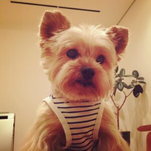 Hiroyuki Miyasako Instagram - 本当にありがとう。