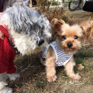Hiroyuki Miyasako Instagram - 本当にありがとう。
