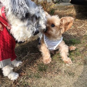 Hiroyuki Miyasako Instagram - 本当にありがとう。