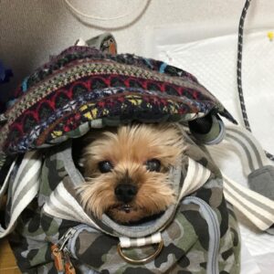 Hiroyuki Miyasako Instagram - 本当にありがとう。