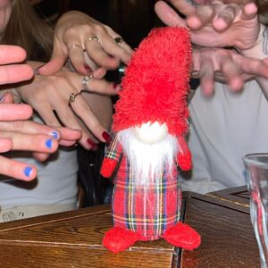 Holly Taylor Instagram - is it really ur birthday if u dont do a photoshoot w a gnome named nigel and decide to dedicate ur life to him