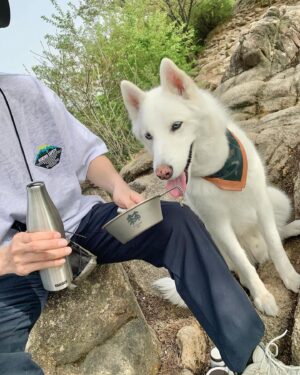 Hong Jong-hyun Instagram - 진이랑 오랜만에 등산🤟🏻⛰️
#ad #kolonsport #코오롱스포츠