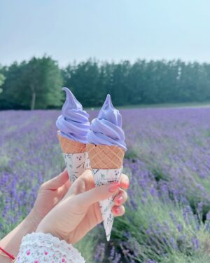 Hong Soo-ah Instagram - #라벤더 꺄💜
#北海道 🪻🌿