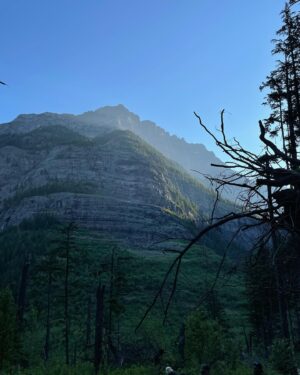 Ian Grey Instagram - nature kinda based ngl