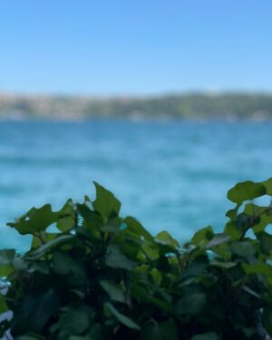 İpek Tuzcuoğlu Instagram - 