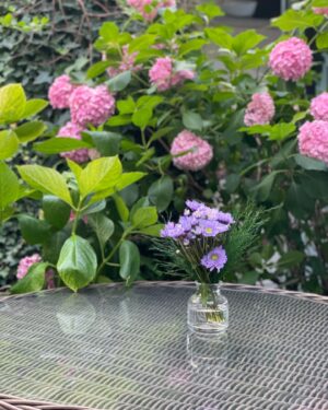İpek Tuzcuoğlu Instagram - 