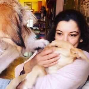 Irem Altug Instagram - Ev halleri 🙄zeytin hanıma ömürlük yuva arıyoruz 🐾iletiştim içim @project_petgang 🐾❤️