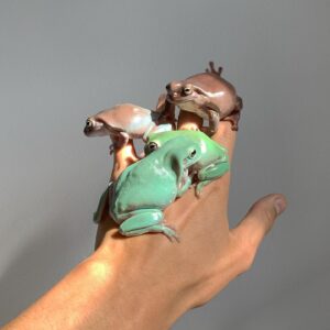 Isaac Powell Instagram - my sticky pigz