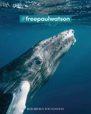 Isabel Lucas Instagram - A month ago ocean conservation hero @captainpaulwatson was arrested by Danish police in Greenland.

@captainpaulwatson has dedicated his life to saving whales and to the duty of protecting our oceans.

Anyone who is willing to risk their lives to safeguard the sentient guardians of the sea deserves our time, effort and gratitude.

Paul is a friend - thank you for helping us help him. 

Sign the link in @captainpaulwatson bio. Write to the Danish embassy and Prime Minister for his release and to refuse his extradition to Japan.
And in Australia, call on Australian MP @albomp to intervene.

Authorities claimed the arrest was due to an international warrant issued by Japan related to his nonviolent actions against illegal whaling. 

Protecting wildlife and our ocean is not a crime.
#FreePaulWatson 🐋