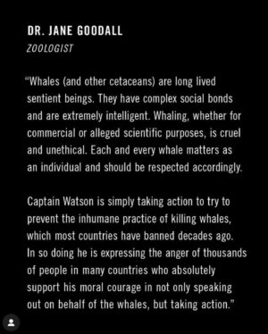 Isabel Lucas Instagram - A month ago ocean conservation hero @captainpaulwatson was arrested by Danish police in Greenland.

@captainpaulwatson has dedicated his life to saving whales and to the duty of protecting our oceans.

Anyone who is willing to risk their lives to safeguard the sentient guardians of the sea deserves our time, effort and gratitude.

Paul is a friend - thank you for helping us help him. 

Sign the link in @captainpaulwatson bio. Write to the Danish embassy and Prime Minister for his release and to refuse his extradition to Japan.
And in Australia, call on Australian MP @albomp to intervene.

Authorities claimed the arrest was due to an international warrant issued by Japan related to his nonviolent actions against illegal whaling. 

Protecting wildlife and our ocean is not a crime.
#FreePaulWatson 🐋