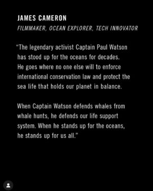 Isabel Lucas Instagram - A month ago ocean conservation hero @captainpaulwatson was arrested by Danish police in Greenland.

@captainpaulwatson has dedicated his life to saving whales and to the duty of protecting our oceans.

Anyone who is willing to risk their lives to safeguard the sentient guardians of the sea deserves our time, effort and gratitude.

Paul is a friend - thank you for helping us help him. 

Sign the link in @captainpaulwatson bio. Write to the Danish embassy and Prime Minister for his release and to refuse his extradition to Japan.
And in Australia, call on Australian MP @albomp to intervene.

Authorities claimed the arrest was due to an international warrant issued by Japan related to his nonviolent actions against illegal whaling. 

Protecting wildlife and our ocean is not a crime.
#FreePaulWatson 🐋