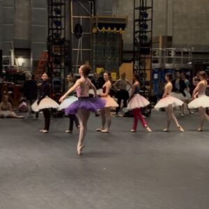 Isabella Boylston Instagram - Scenes from the lake 🦢