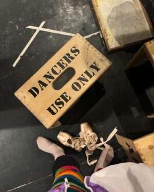 Isabella Boylston Instagram - Scenes from the lake 🦢
