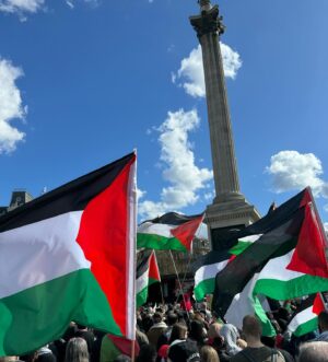 Ivo Graham Instagram - 🇵🇸