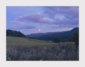 Jack Lowden Instagram - ‘Alas poor country, almost most afraid to know itself.’

F*^kin knows its sel on nights like this but.

Dyed in purple.

Ful tae the brim.
