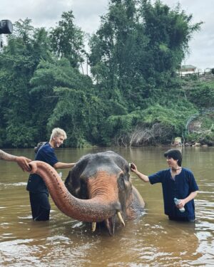 Jackrin Kungwankiatichai Instagram - มาอาบน้ำช้าง (พี่พลอย) ครั้งแรกในชีวิต!! ตื่นเต้ลฝุดๆ🐘🧡