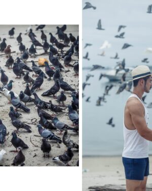Jacob Hsiao Instagram - Seabirds, fly home. 

Photography: @alexleephotographer