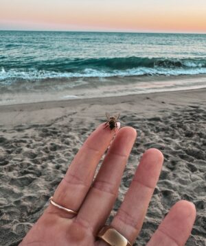 Jacqueline MacInnes Wood Instagram - 🤍🦋✨