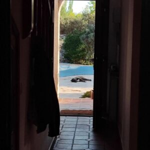Jaime Olías Instagram - Hace tiempo que no subes nada...
