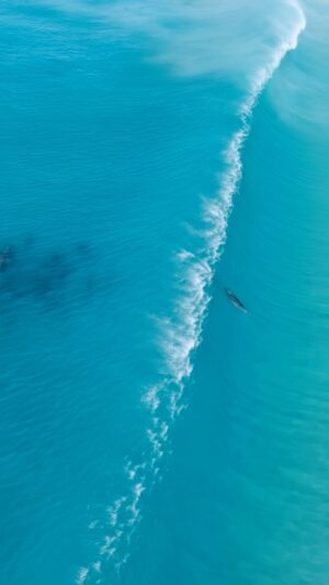 Jaimen Hudson Instagram - Solo Dolphin surf, Esperance WA