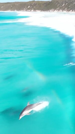 Jaimen Hudson Instagram - Wait for the 🌈
.
 Turquoise waves, Esperance WA