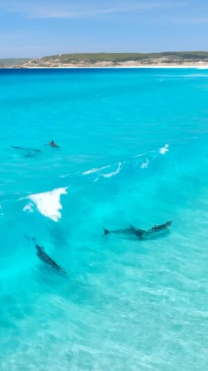 Jaimen Hudson Instagram - Turquoise dream 💦
.
How’s that water Clarity
.
Esperance Western Australia