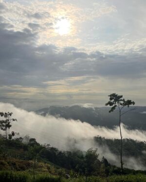 Jane Moore Instagram - Apologies for the photo dump but I’ve been waiting for this holiday with my daughters for three years and can’t quite believe we have finally made it after several Covid-related cancellations. We’re in #costarica and, wow, what a country. It feels like it belongs to the wildlife and we humans are mere guests. Our first stop was the #tinyhouse near Siquerres then on to stay in a school bus in #puertoviejo before heading to #tortuguero to see turtles, sloths and monkeys. Truly magical.