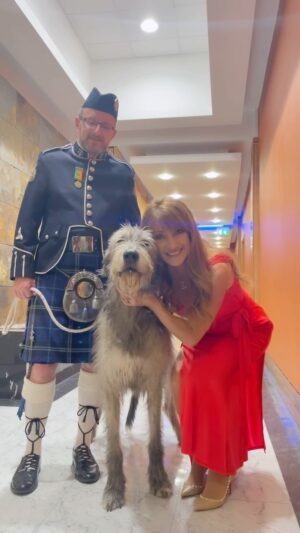 Jane Seymour Instagram - Celebrating #NationalDogDay a day later to introduce you to this gorgeous Irish Wolfhound! 🥰 🐕 Tell me about your favourite furry friend(s)!