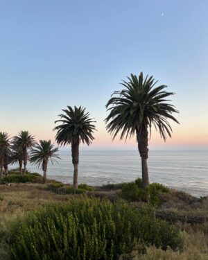 Janel Parrish Instagram - Had the absolute best early anniversary trip with my love @c_long at our favorite spot @terranearesort 🤍