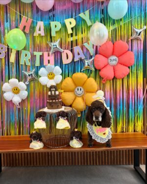 Jang Keun-suk Instagram - 수니찌생일축하해요🥳🎉🎊🎁🎈🍾🍾