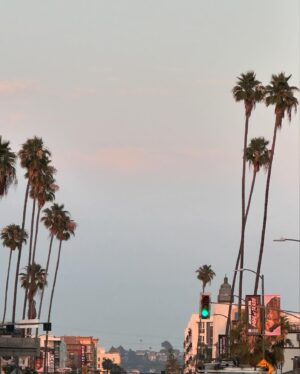 Jason Cabell Instagram - Snuck into Cali for some meetings! Always good to be back.