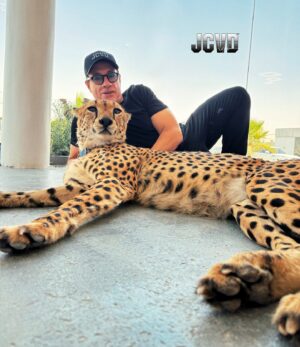 Jean-Claude Van Damme Instagram - Happy they are rescued. Now freedom 🐆🐍🥋#jcvd #vandamme  #love  #animals #happy #freedom