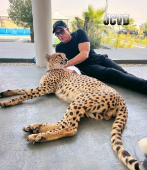 Jean-Claude Van Damme Instagram - Happy they are rescued. Now freedom 🐆🐍🥋#jcvd #vandamme  #love  #animals #happy #freedom