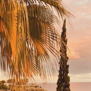 Jeanette Biedermann Instagram - Ich hab so Lust auf Urlaub! Aber ich mache gerade ein neues Album und bin fleißig in den vier Wänden meines Studios eingesperrt! Das ist ähnlich wie Urlaub, Urlaub für die Seele, die endlich schreiben kann, was ihr auf dem Herzen liegt! Und zu Ende bringen kann, was so lang unter den Herzklappen schon schlummert. Also kurz um, mir geht es gut! Sogar sehr gut! Aber irgendwann muss ich wieder ans Meer…. #🤗 Auf die Bühne! Was dem Meer gleicht! Ein Meer aus uns und Musik…#🌊 Ich freu mich auf unser Couch-Konzert am 20. September! Und vielleicht hab ich bald noch eine kleine Überraschung für euch! #vorfreude 

Wie geht es euch? Wie verbringt ihr diese schönen warmen Tage gerade? Was hört ihr für Musik? 

#jeanettebiedermann #musik #neuemusik #live #livemusik #musikistliebe #konzertliebe #❤️