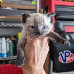 Jeff Bonnett Instagram - I found these in my garage....do y'all wash them before cooking them or just go for it? Let me know in the comment section below 😆
😺 
#thesearejokescalmdownmaam