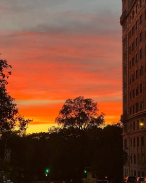 Jelani Cobb Instagram - Sunset near campus.