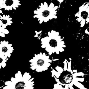 Jena Malone Instagram - Making a new bloodstains record. Gonna be a doooooozy. Looking for some producer/ musician collaborators that wanna go off grid and make something wild together. Hit me up honey. We all have got some lovely catharsis to shake off and I need some help with some dance beats. Some sneak peeks.