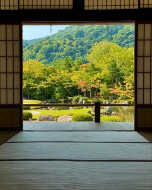 Jennifer Garner Instagram - Dream trip to Japan: a to do list. 🇯🇵
1 - Always find a boat (🥂 for extra points) 
2 - Visit every temple and shrine, bow clap pray. But first: purify.
3 -  Sit still. Tenryu-ji.
4 - Pretend to be 😎✌️for Tokyo. 
5 - Can this guy visit LA, please? 🐱
6 - Kinkaku-ji Golden Pavilion. What a beautiful world. 
7 - Tidy does it! (slurp). 🍜 
8 - Listen to the morning in Ise-Shima 🔊 
9 - Oyster farmers are wonderful, too. 🦪 
10 - Deadpool.  行こう、行こう ♥️💛
11 - When seeing is a prayer. 
12 - 👀 ⬆️ 
13 - No mud, no lotus. 🪷 
14 - Honor the life forces that feed us. Thank you, abalone. (aka: the triumph of the former picky eater 🙋🏻‍♀️) 
15 - Sometimes: 🍺