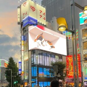 Jennifer Garner Instagram - Dream trip to Japan: a to do list. 🇯🇵
1 - Always find a boat (🥂 for extra points) 
2 - Visit every temple and shrine, bow clap pray. But first: purify.
3 -  Sit still. Tenryu-ji.
4 - Pretend to be 😎✌️for Tokyo. 
5 - Can this guy visit LA, please? 🐱
6 - Kinkaku-ji Golden Pavilion. What a beautiful world. 
7 - Tidy does it! (slurp). 🍜 
8 - Listen to the morning in Ise-Shima 🔊 
9 - Oyster farmers are wonderful, too. 🦪 
10 - Deadpool.  行こう、行こう ♥️💛
11 - When seeing is a prayer. 
12 - 👀 ⬆️ 
13 - No mud, no lotus. 🪷 
14 - Honor the life forces that feed us. Thank you, abalone. (aka: the triumph of the former picky eater 🙋🏻‍♀️) 
15 - Sometimes: 🍺