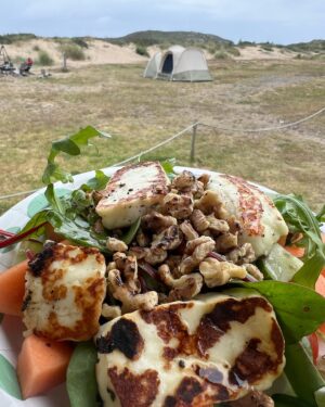 Jenny Skavlan Instagram - ⛺️🚍Oppsummering bobilferie: Jeg har alltid trodd at jeg må slappe av så mye som mulig for å hente meg inn fra en intens jobbhverdag- ligge mest mulig flatt med en bok. Men nå har jeg oppdaget hvordan hodet kobler av på eventyrferie! Nye opplevelser men den lille gjengen min- masse natur, digg mat og få ting. Et aktivt hode- bare koblet på noe annet. Og DET var avslappende det! 

Favorittplassene var @hoveleirsenter og @lomsesanden_opplevelser rolige plasser med vill natur og masse morsomme opplevelser rett utenfor bibildøren. 

Også har jeg lært at noen har septiktanker som fungerer som trillekofferter! 🛄🧠💥 Det ser ut som at de skal ut å fly med 💩 til hele familien.