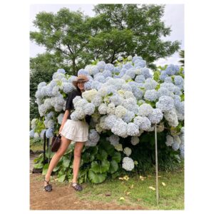 Jeong Hye-young Instagram - 🩵수국정원