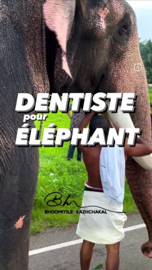 Jérémy Nadeau Instagram - Une chicaille de zinzin le frero
