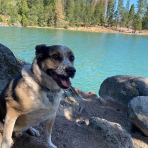 Jesse Bradford Instagram - Bass Lake July 11th 2020