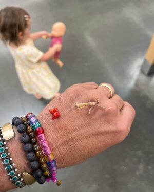 Jesse Bradford Instagram - So we took our daughter to the zoo for the first time yesterday but that’s not even the headline. The headline is I SAVED A PINK PRAYING MANTIS AND THEN SHE WOULDN’T LEAVE MY SIDE FOR 7 HOURS.  She did the whole zoo with us, then lunch, grocery shopping, and even a friends BBQ (my friend, not her friend, I don’t actually know any of her friends). Anyway, she came all the way home with us. The second to last photo is from when I coaxed her into our creosote bush, where she finally seemed ready to get back to her regular life. The last shot is from right after we met 💚