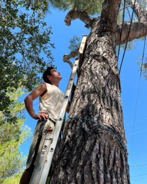 Jesse Bradford Instagram - Bats get a bad rap that they don’t deserve.  So when @batbnb offered me a bat house and a chance to raise awareness, I couldn’t say no. Their bat house was SUPER easy to install, it will house dozens of bats, and I will soon be their leader.  They shall repay me by eating mosquitos and other pests. It’s a win-win. Encouraging bats is encouraging a healthy ecosystem. 
Oh what’s that? You’re afraid of bats? Why? They’re flying mammals, how cool is that?! I bet you’re a mammal. And I bet you wish you could fly, right? SO YOU LITERALLY WISH YOU WERE A BAT. I rest my case your honor 🦇