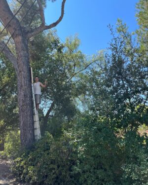 Jesse Bradford Instagram - Bats get a bad rap that they don’t deserve.  So when @batbnb offered me a bat house and a chance to raise awareness, I couldn’t say no. Their bat house was SUPER easy to install, it will house dozens of bats, and I will soon be their leader.  They shall repay me by eating mosquitos and other pests. It’s a win-win. Encouraging bats is encouraging a healthy ecosystem. 
Oh what’s that? You’re afraid of bats? Why? They’re flying mammals, how cool is that?! I bet you’re a mammal. And I bet you wish you could fly, right? SO YOU LITERALLY WISH YOU WERE A BAT. I rest my case your honor 🦇