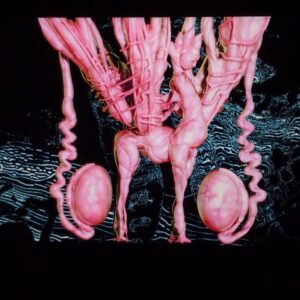 Jesse Kanda Instagram - Doon Kanda - Nastasya full song out now youtube link in bio 😊

so happy I made this last minute half-video thing

thank you 🌸 ‘Labyrinth’ album coming out November 29 on Hyperdub