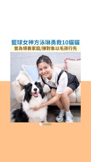 Jessie Fong Win-Lam Instagram - 🏀籃球女神方泳琳近年升級做人妻✨
🩷愛錫小動物嘅佢屋企有咁多寵物，平時毛孩同老公張敏又相處成點呢？
人靚心善嘅佢，除左領養左🐶狗狗kody外，原來更試過一次拯救在10隻貓貓🐈即睇訪問🎥

#方泳琳 #領養 #領養不棄養 #領養代替購買 #毛孩 #寵物 #狗 #籃球 #貓 #邊境牧羊犬
