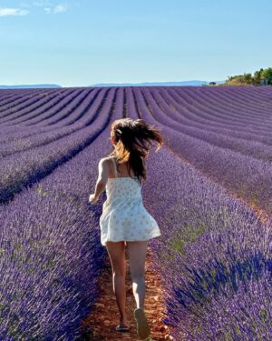 Jessie Fong Win-Lam Instagram - 今年終於可以7月嚟薰衣草田留倩影🤭

#lamlam✈️
#震懾眼球
#薰衣草
#lavender